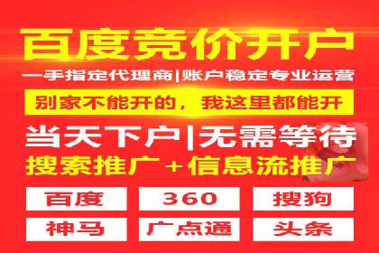 百度SEO推广：从零到一的成长案例