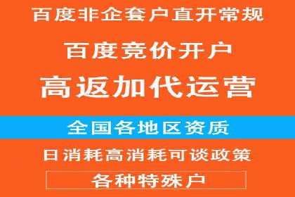 竞价广告案例分享：XX电商平台的成功秘诀